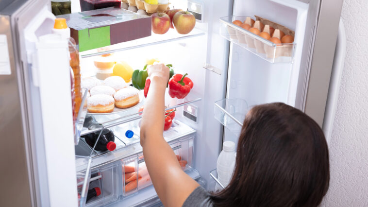 Typische Verschleißteile in Kühl- und Gefriergeräten: Was altert wirklich, was sind die Warnzeichen?